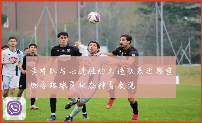 黄蜂队与七连胜的久违联系近期重燃各路球员状态神勇表现