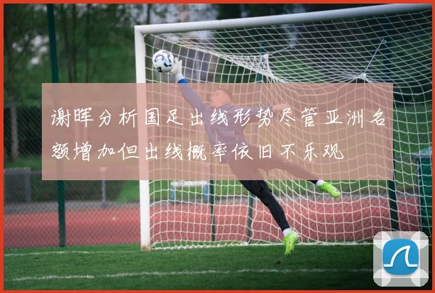 谢晖分析国足出线形势尽管亚洲名额增加但出线概率依旧不乐观
